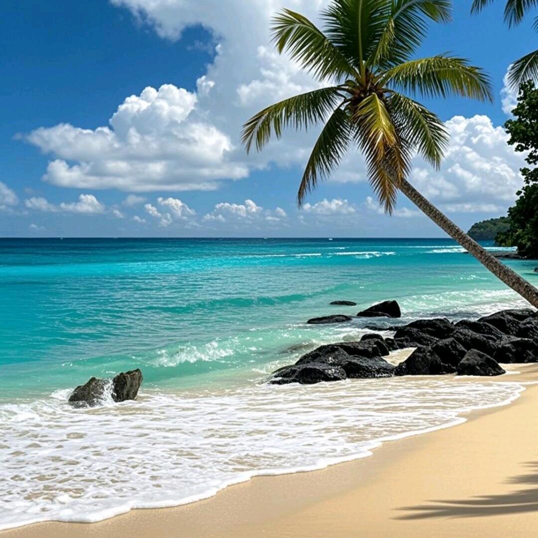 君子吴一酒水商行