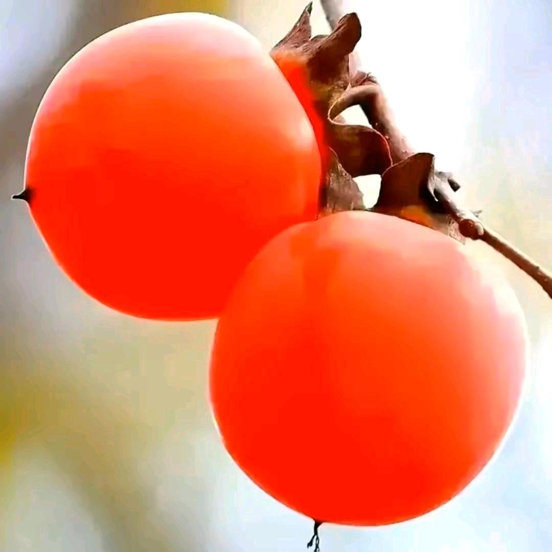 ❤️方家二少💔