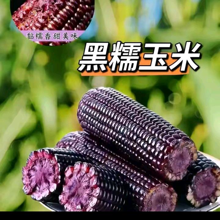 佳琪黄芪霜