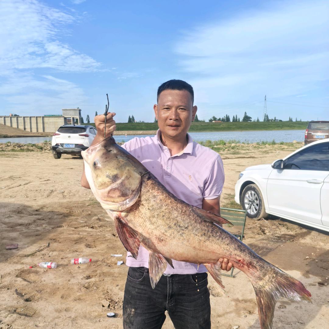 利锅爱钓鱼