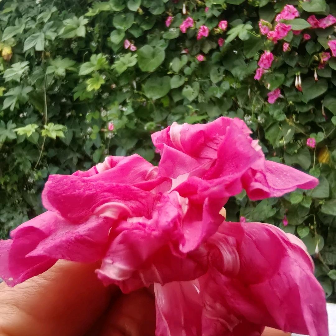 陈荣