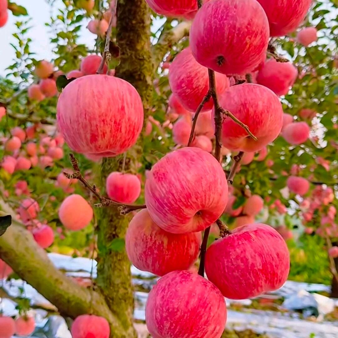 余生好好爱自己