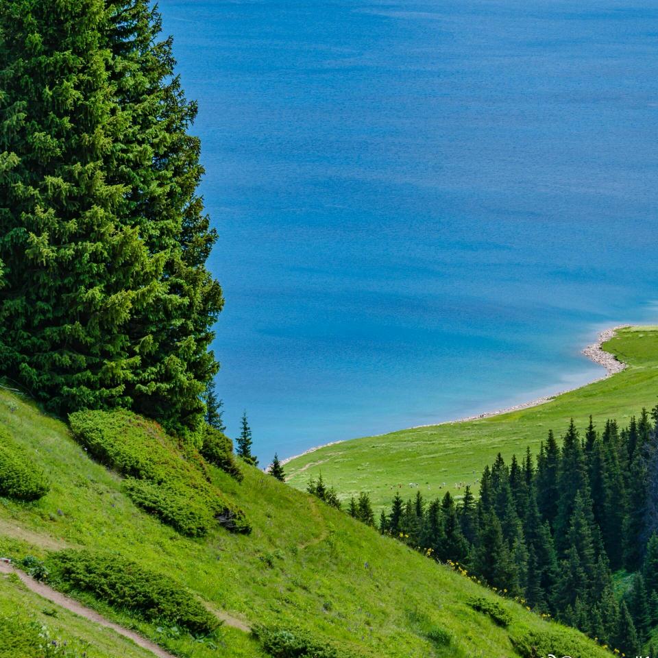 汇力丰数控折弯机Julia