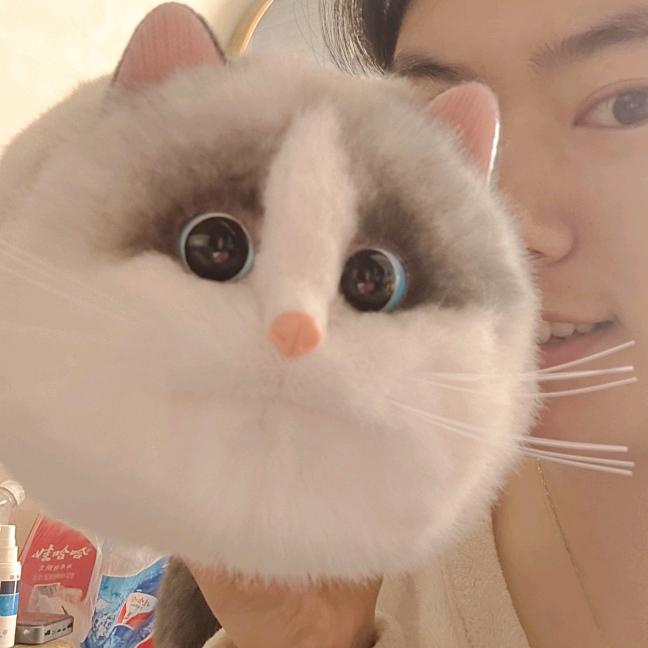 杨小琴