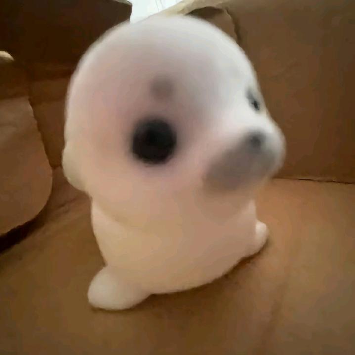 怒抽高考降龙十八掌