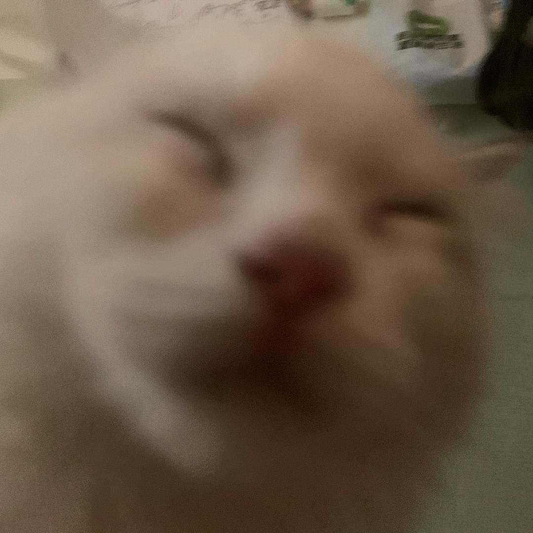 茶卡