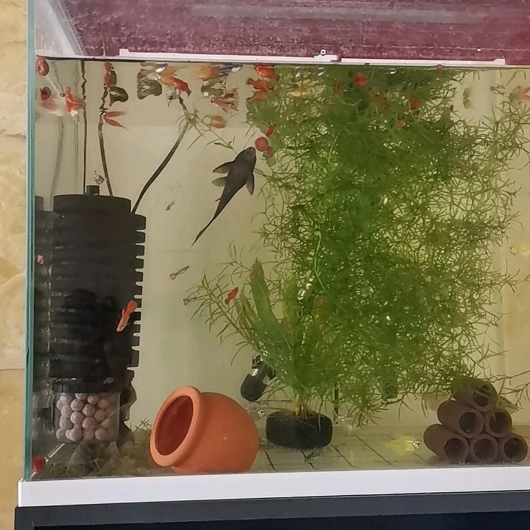 ☞文☜