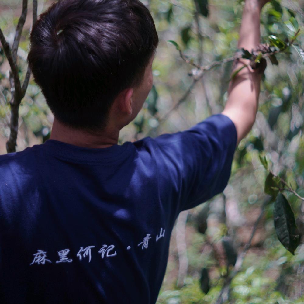 麻黑何记·青山