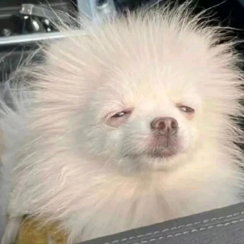 微微布拉屎