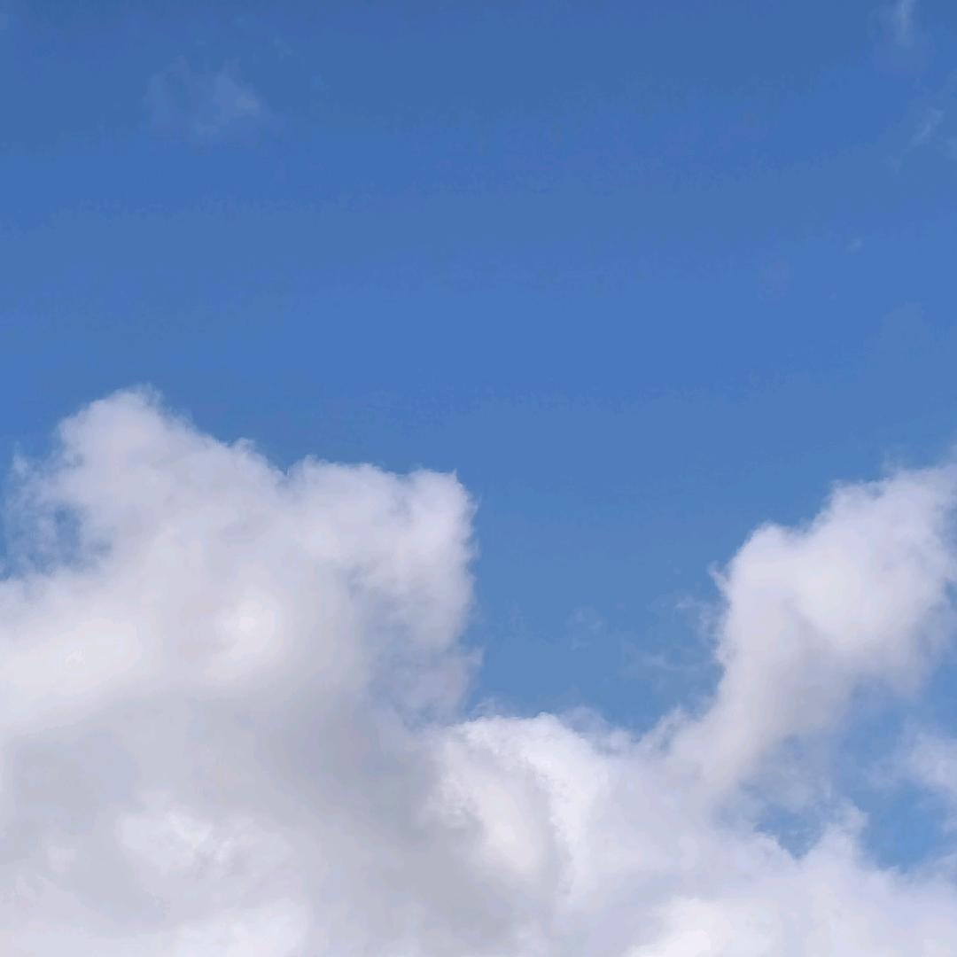 想记起昨天的梦