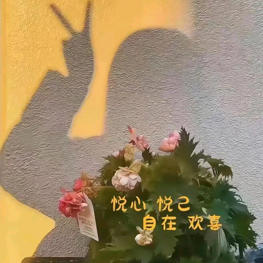ღ别惹我💋ღ᭄