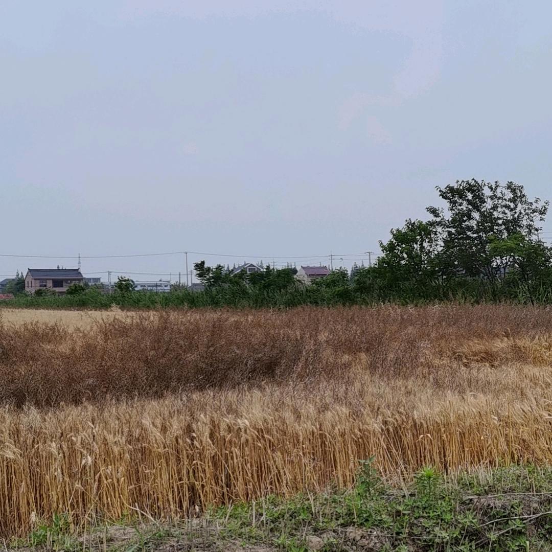 🇨🇳珍惜余生🇨🇳