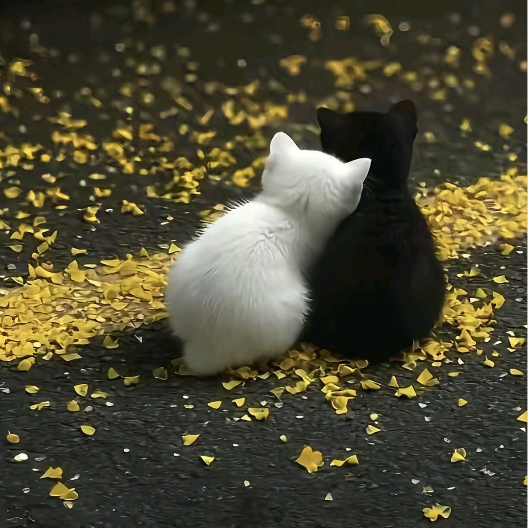 三三