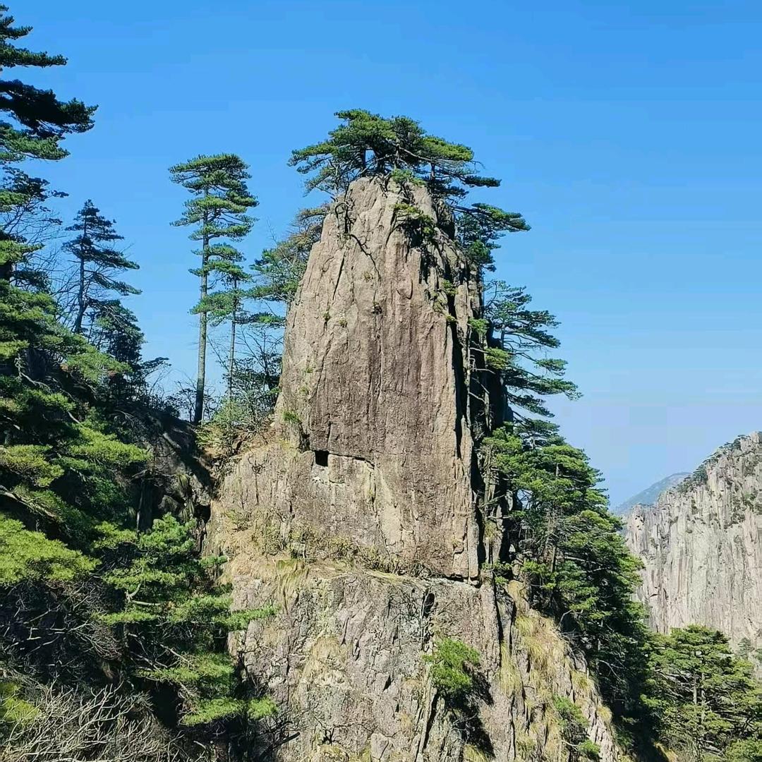 龖龖