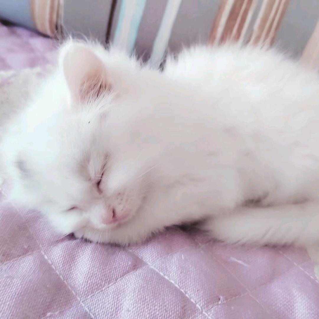 雨樱🥀很漂亮