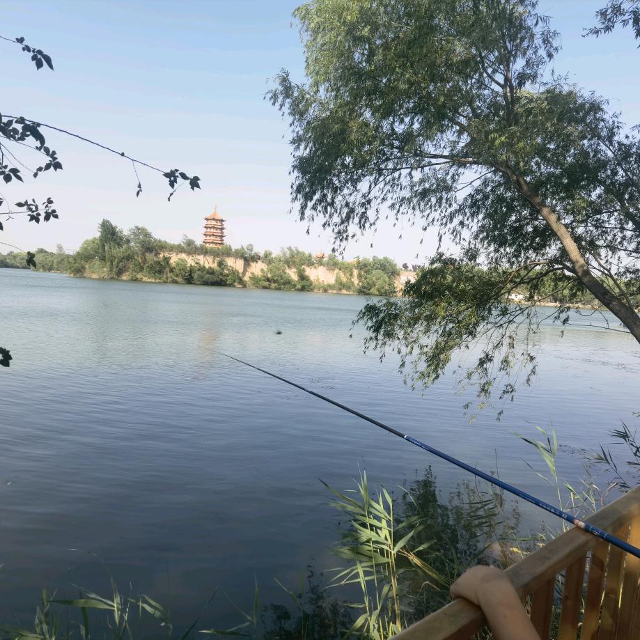 李金林，李占红