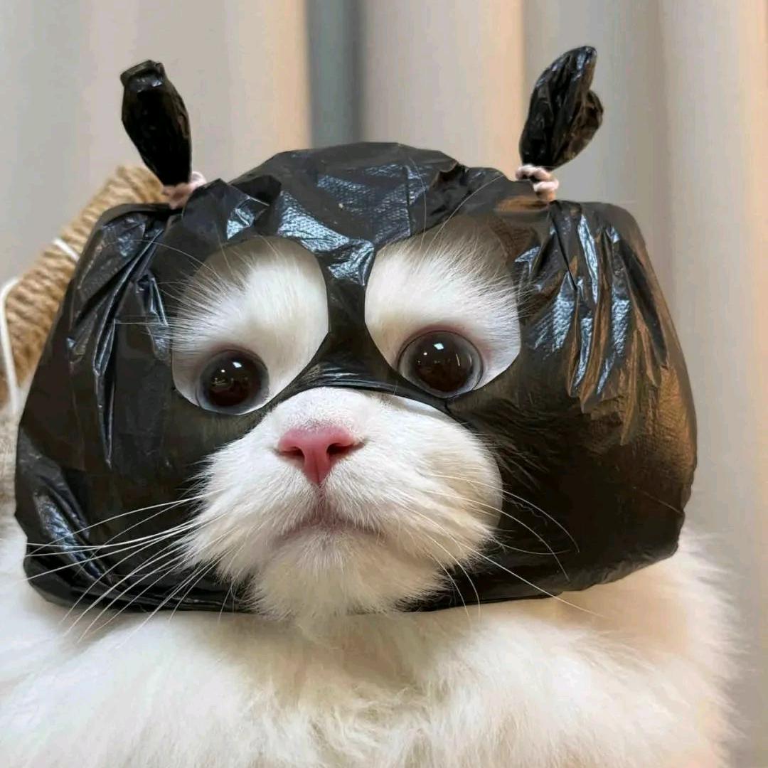 𝓜.桂皮皮爱扯皮