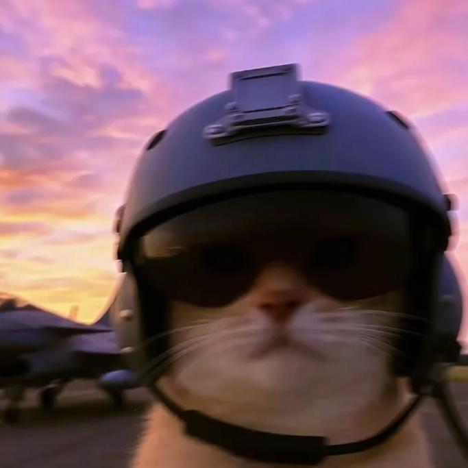 欧德猫（三角洲行动）