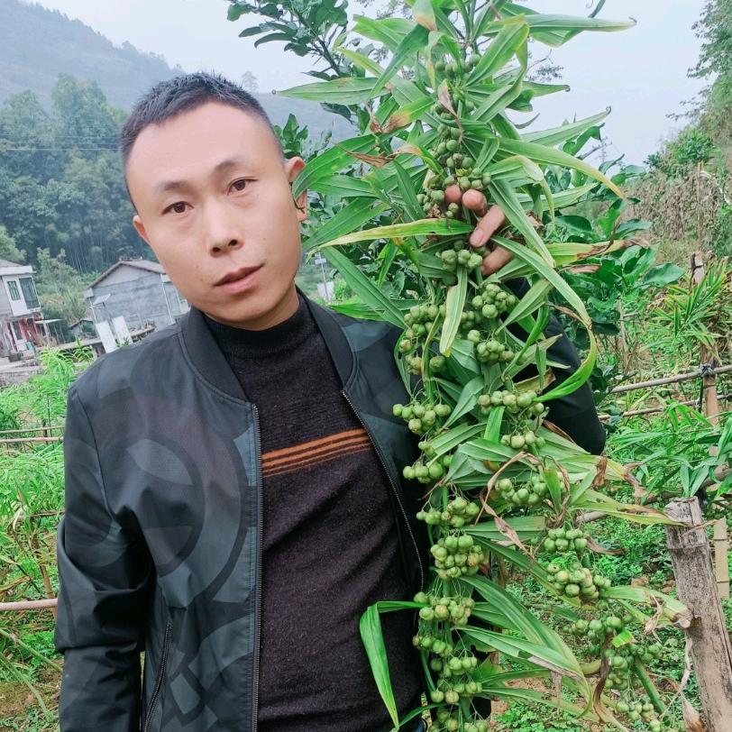 木特农业，多美满农业（孙亦军）