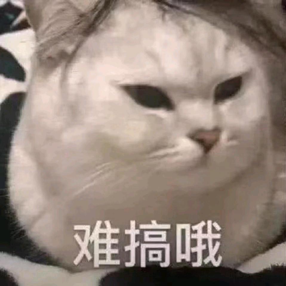 木木老师。