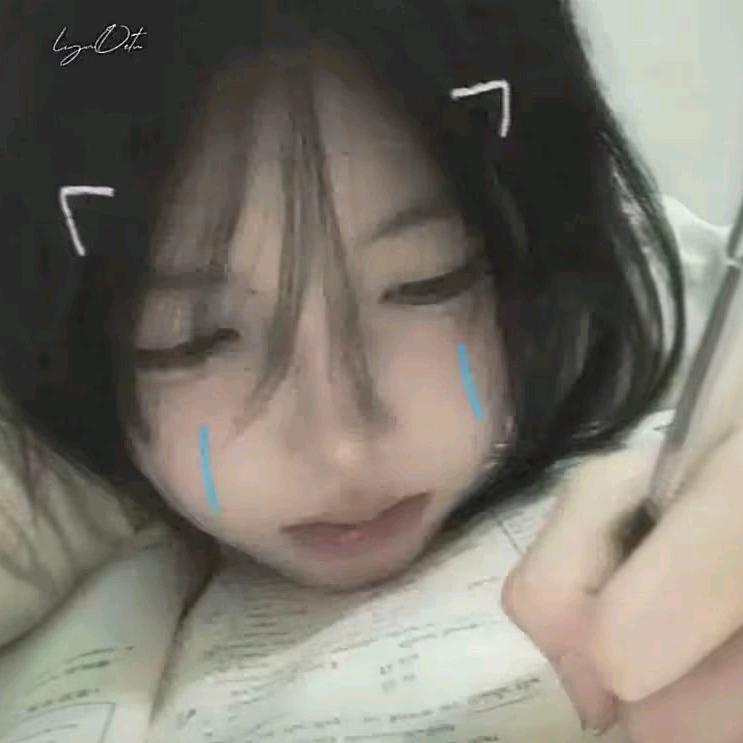 小渔胖胖哒