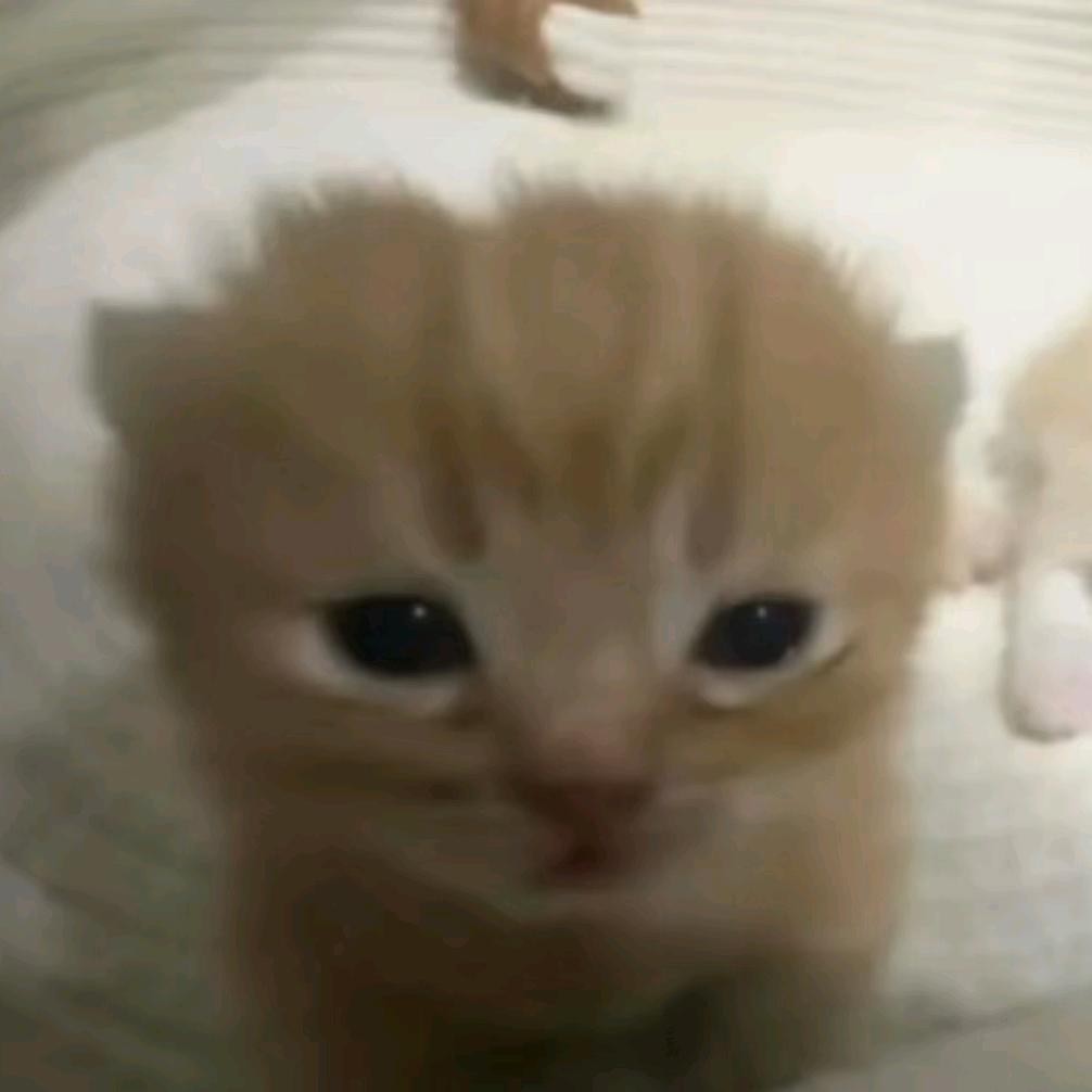 ⩌⩊⩌