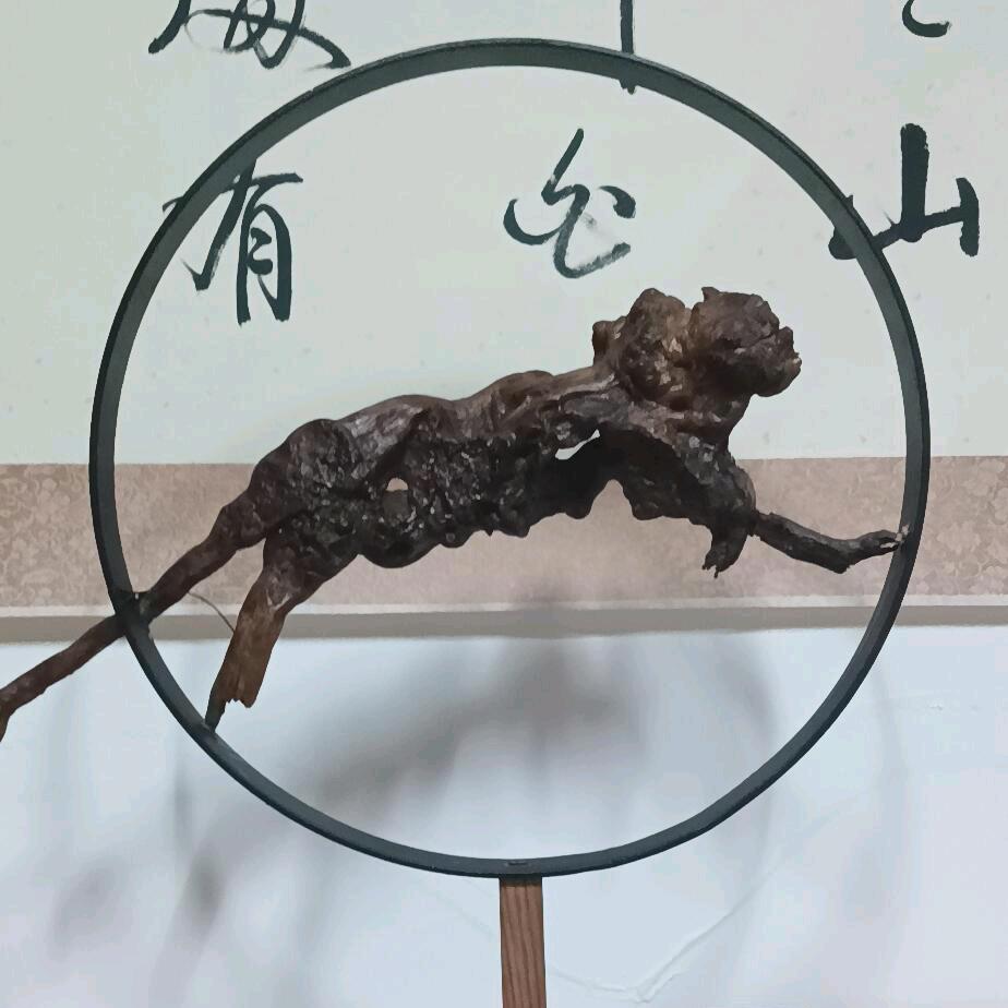 康养之旅