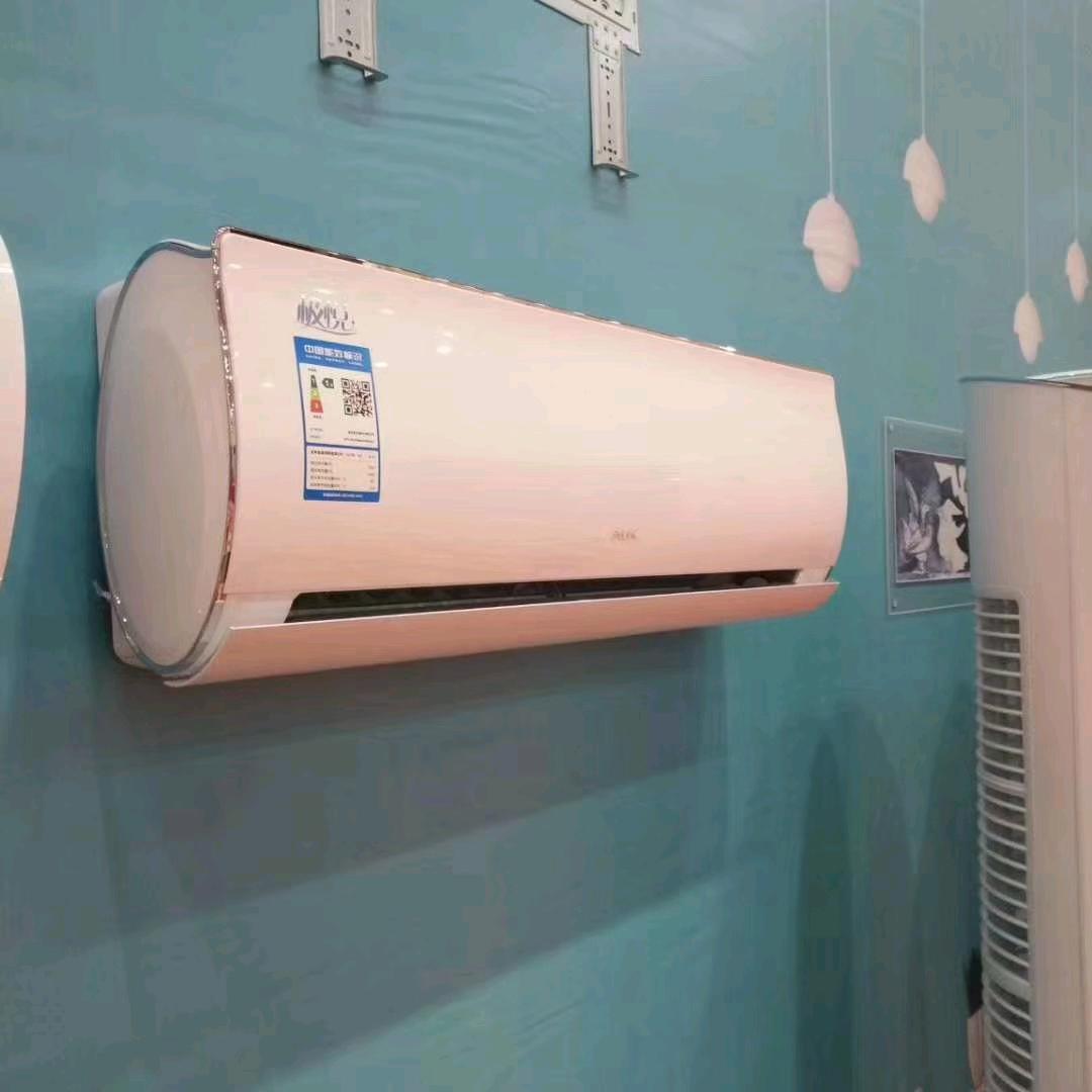 骑着蚊子走天下。