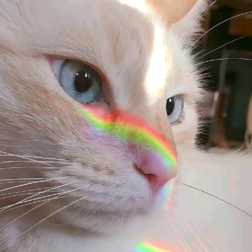 粉红豹盖着八十八个厚被子