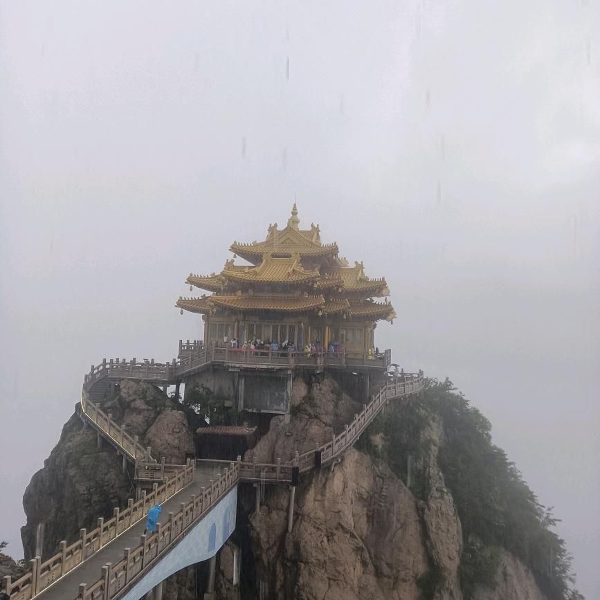 樊菊花