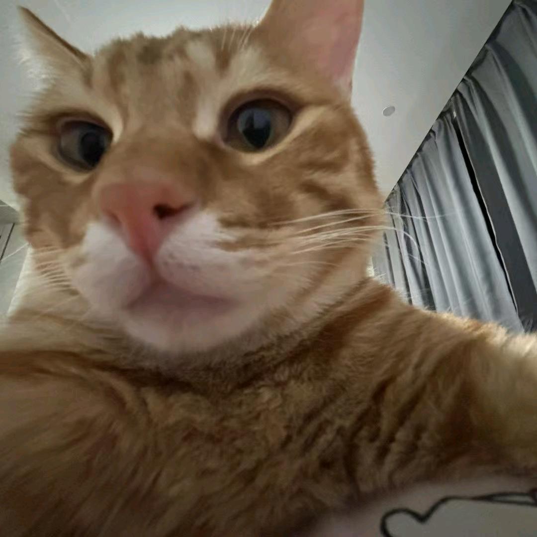 香克斯