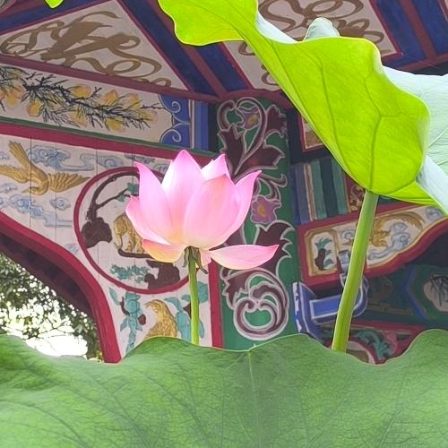 子仁