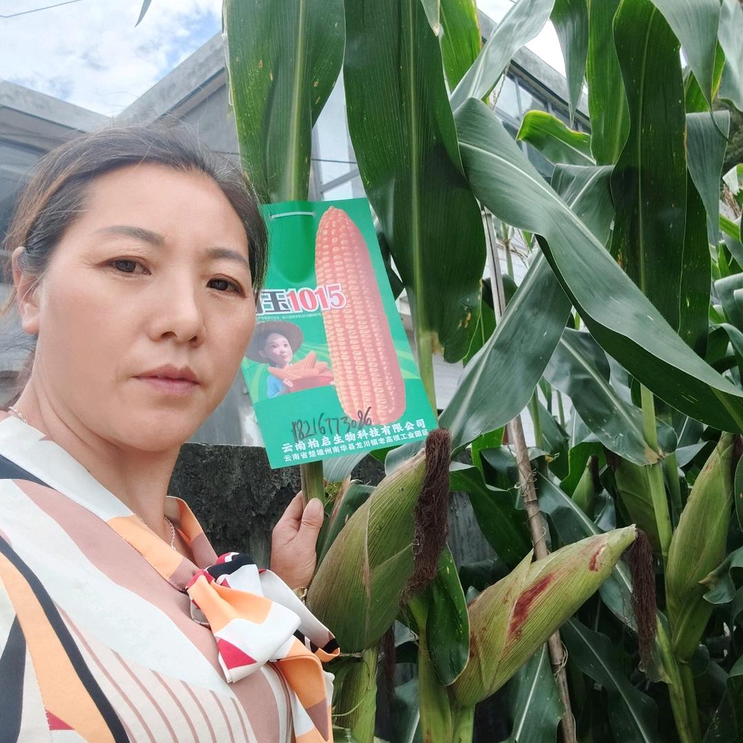 盘州市普古振农农资经营部