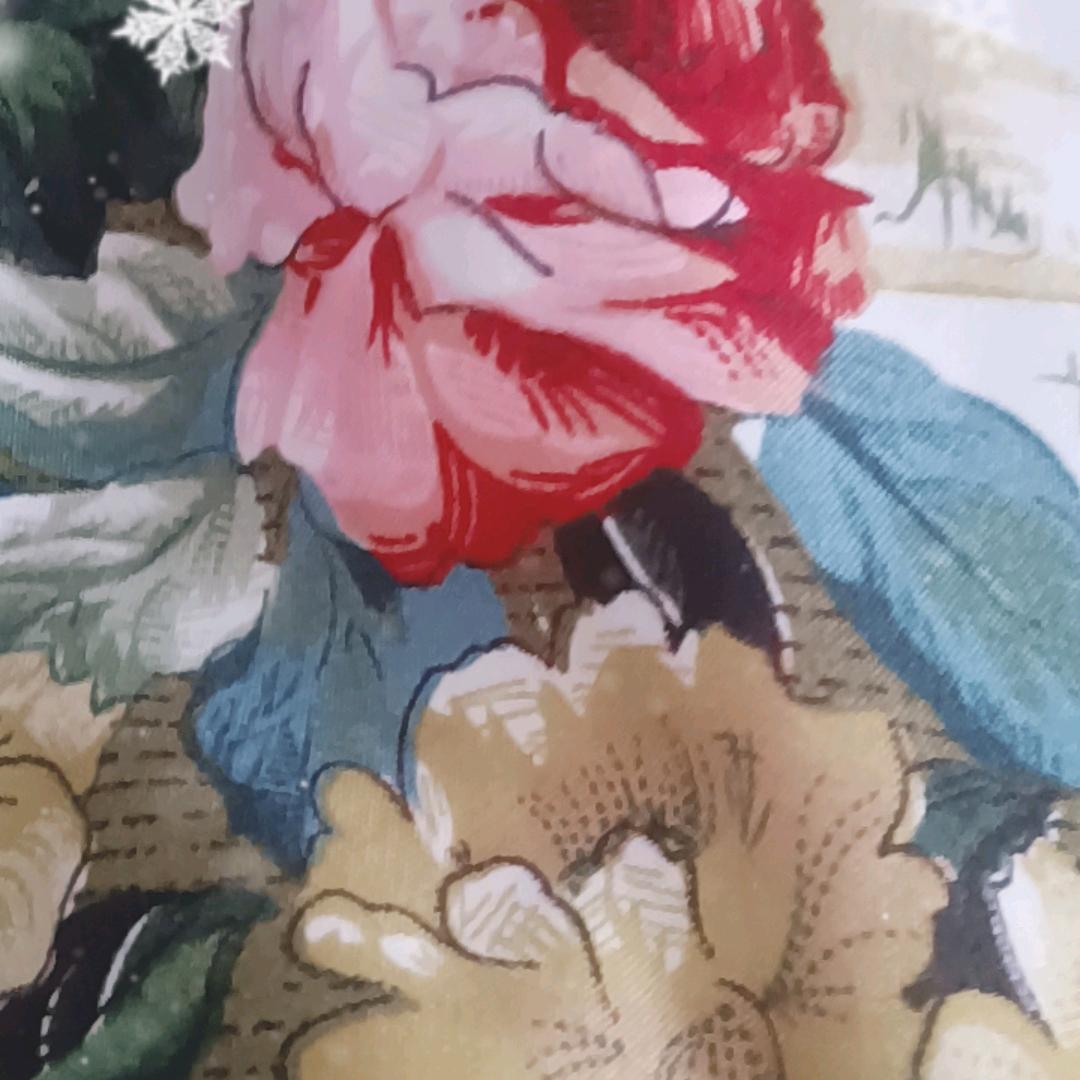 荷芯