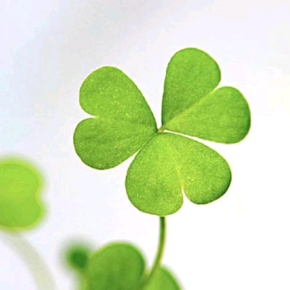 ℒᎭℯ⃝清ღ如ꕥ້໌ᮨ᭄