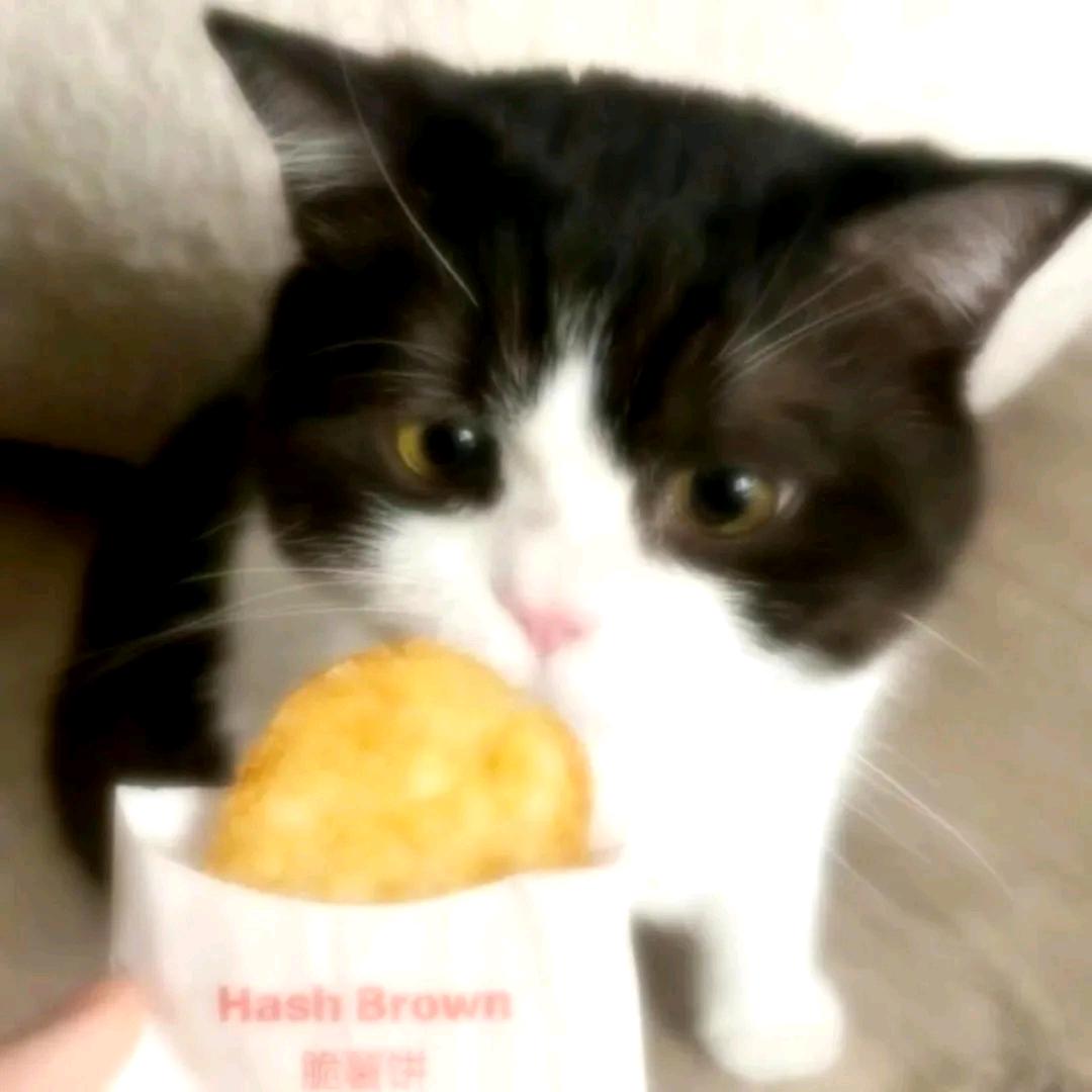 高冷绝育大蟑螂