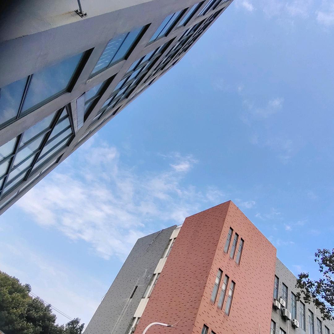 专