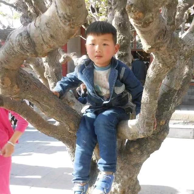 姹紫嫣红_252157370