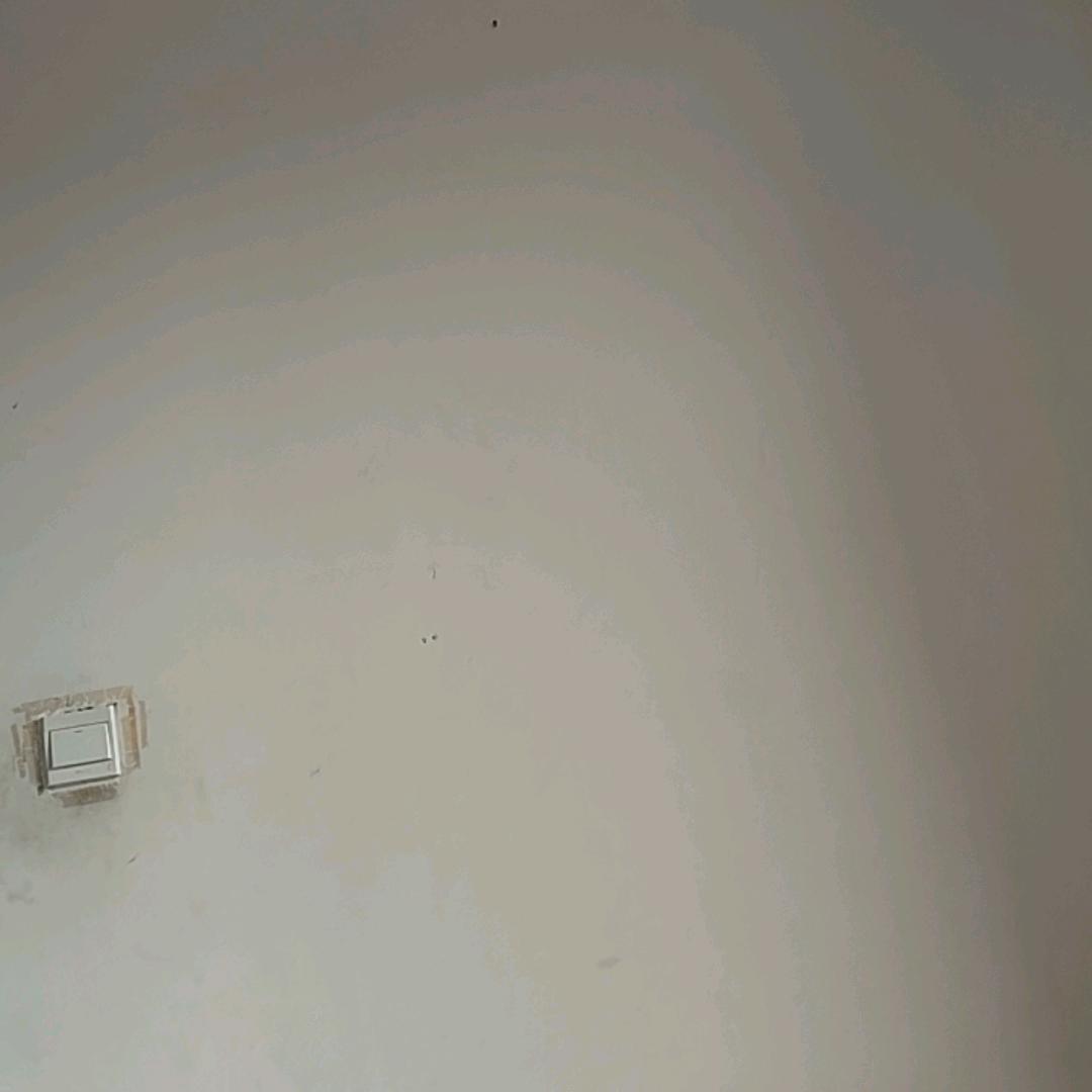 雅虎
