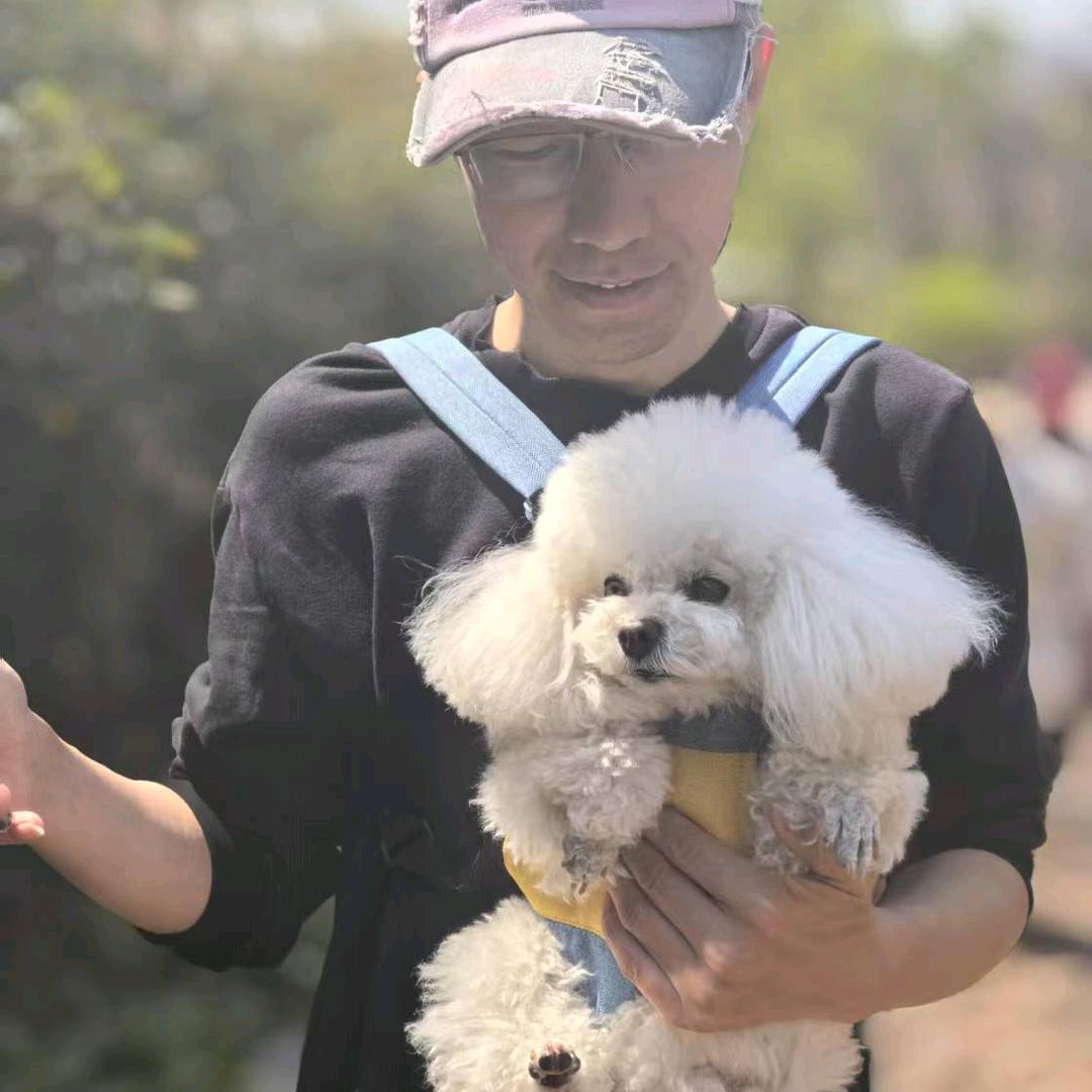 训犬师·文（拍课免费收徒）
