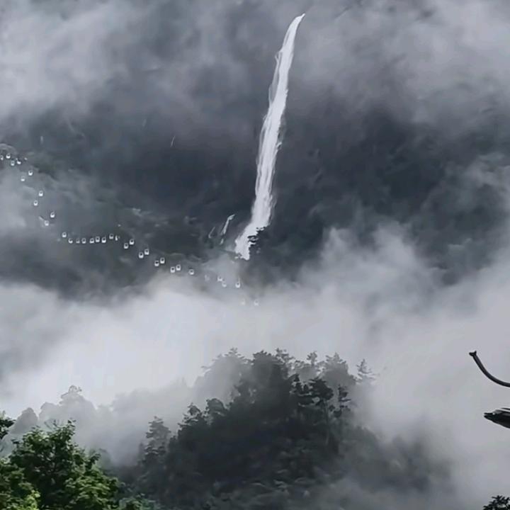 💞梧桐坞ꦿᩚᥫᩣꦿ