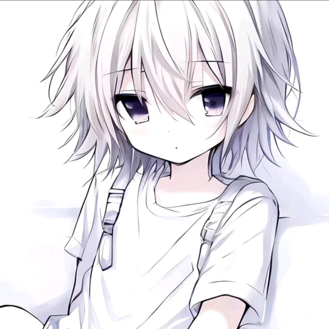 七崽