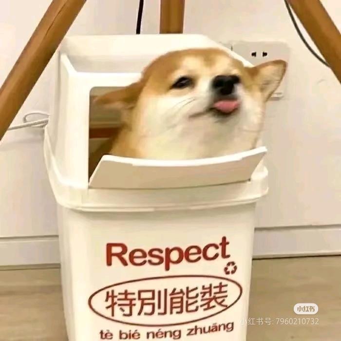 呜哇嘡