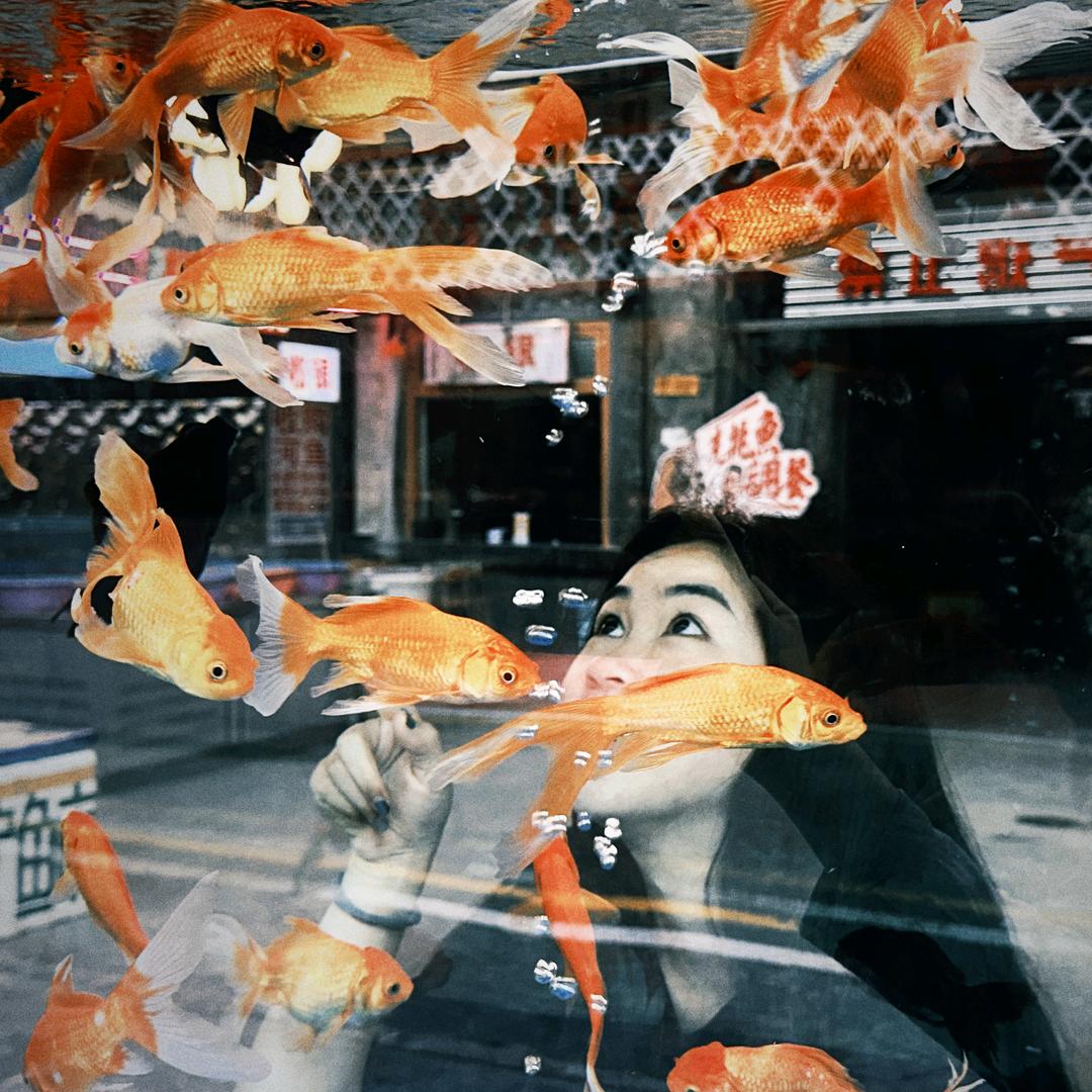 ᴸ鲨鱼L椒ᶠ🐳