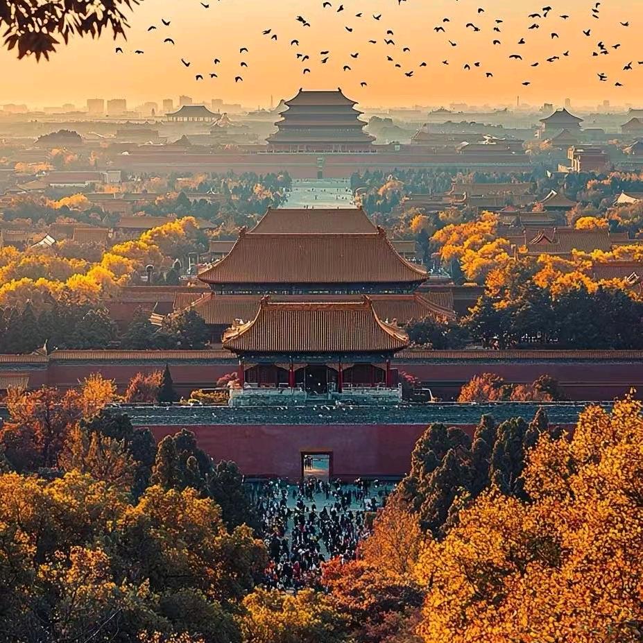 不看球的老头