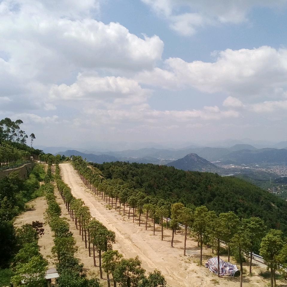 亲亲宝贝