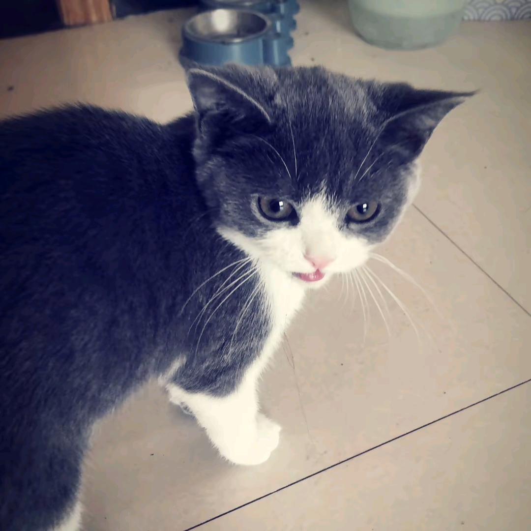 宸c.