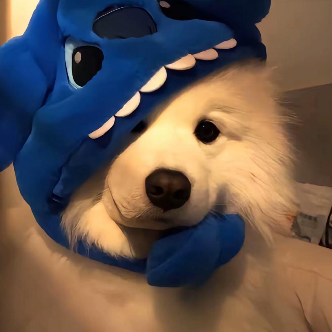 An
