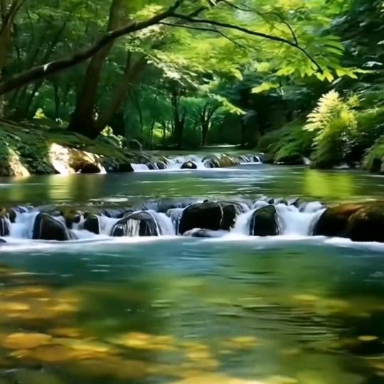 百合的春天