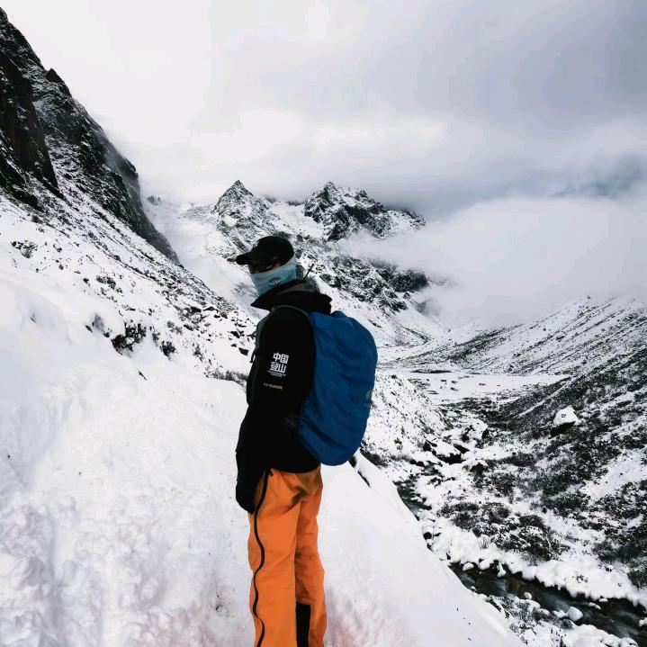 🐑🐱🍑（向导版）